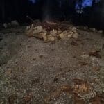 Tent #1, Norfork Arkansas Image